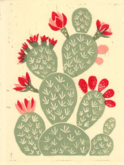 FINE ART DESERT CACTUS LINOPRINT REPRODUCTION POSTCARD SET - BY ANNA SEE