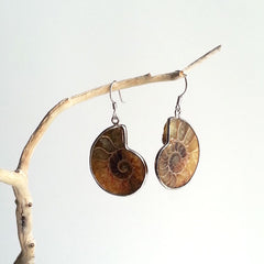 EARRINGS: NATURAL AMMONITE FOSSIL EARRINGS, SOLID .925 STERLING SILVER, HANDMADE AND AVAILABLE EXCLUSIVELY AT ANNA SEE