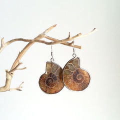 EARRINGS: NATURAL AMMONITE FOSSIL EARRINGS, SOLID .925 STERLING SILVER, HANDMADE AND AVAILABLE EXCLUSIVELY AT ANNA SEE