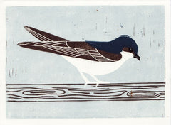 HOUSE MARTIN HAND-CARVED LINOCUT ILLUSTRATION ART PRINT BY ANNA SEE