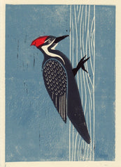 PILEATED WOODPECKER HAND-CARVED LINOCUT ILLUSTRATION ART PRINT BY ANNA SEE