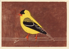 AMERICAN GOLDFINCH HAND-CARVED LINOCUT ILLUSTRATION ART PRINT BY ANNA SEE