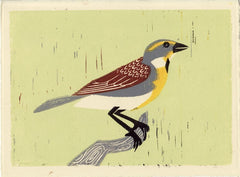 DICKCISSEL HAND-CARVED LINOCUT ILLUSTRATION ART PRINT BY ANNA SEE
